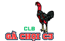 Logo Gà Chọi